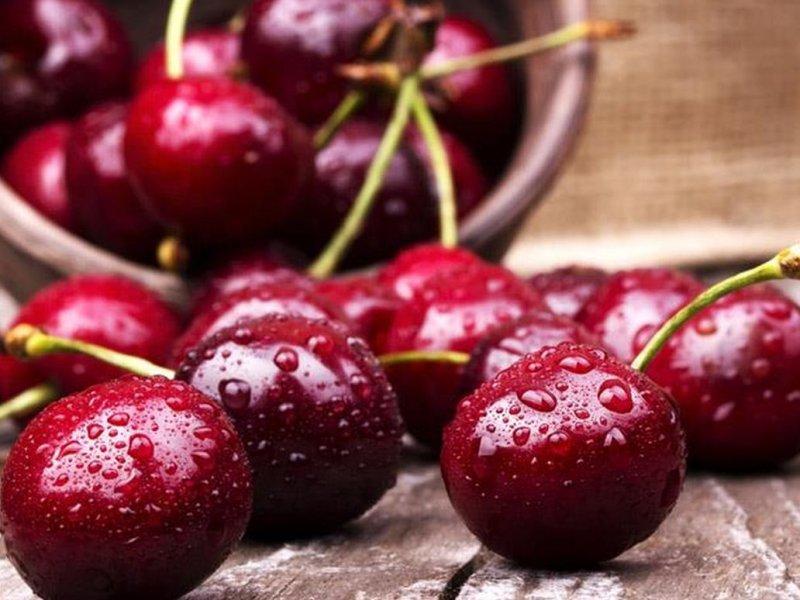 Вишня купить саженцы из питомника в Екатеринбурге